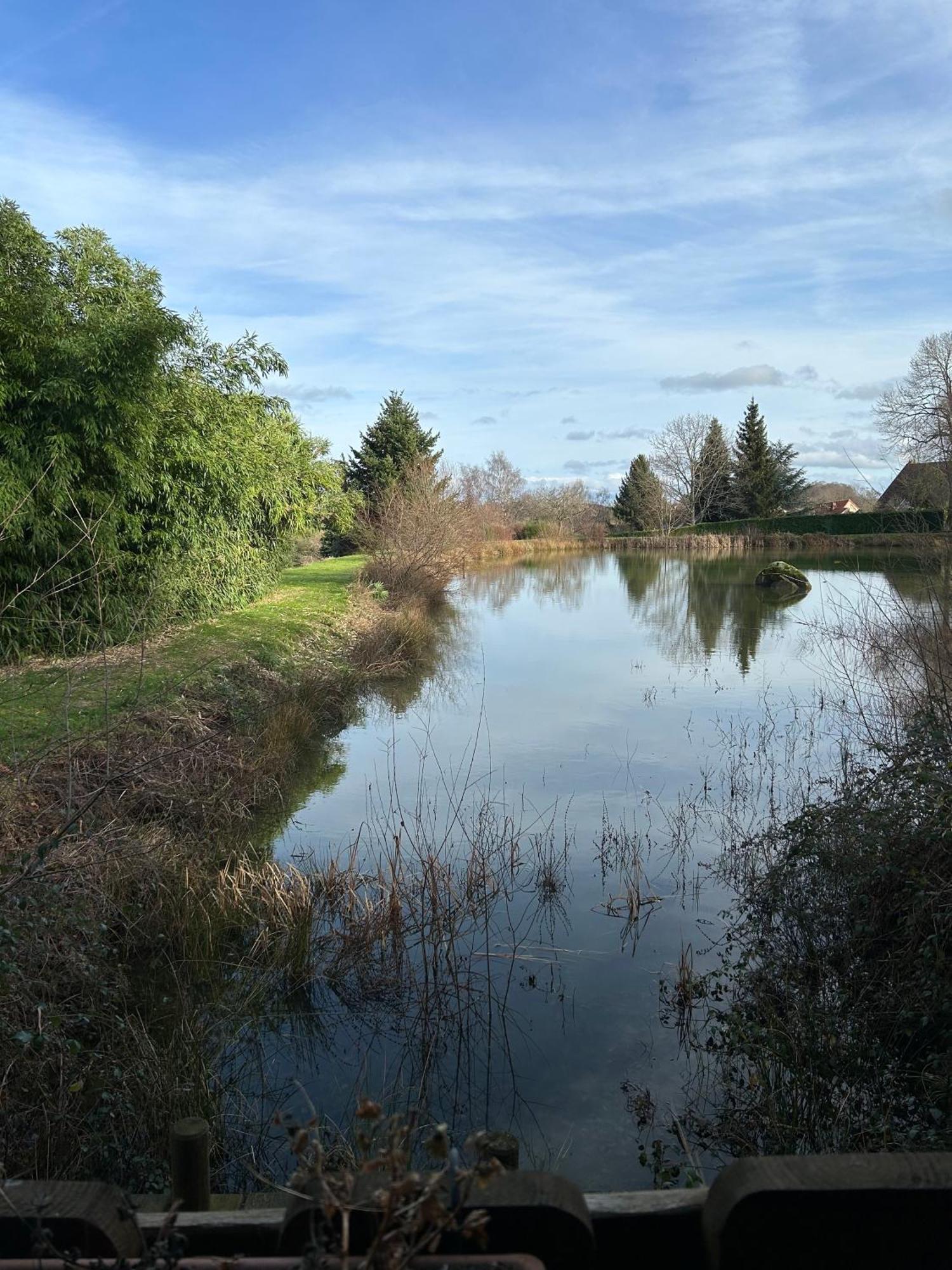 Le Domaine De La Vergnolle Roches  Esterno foto