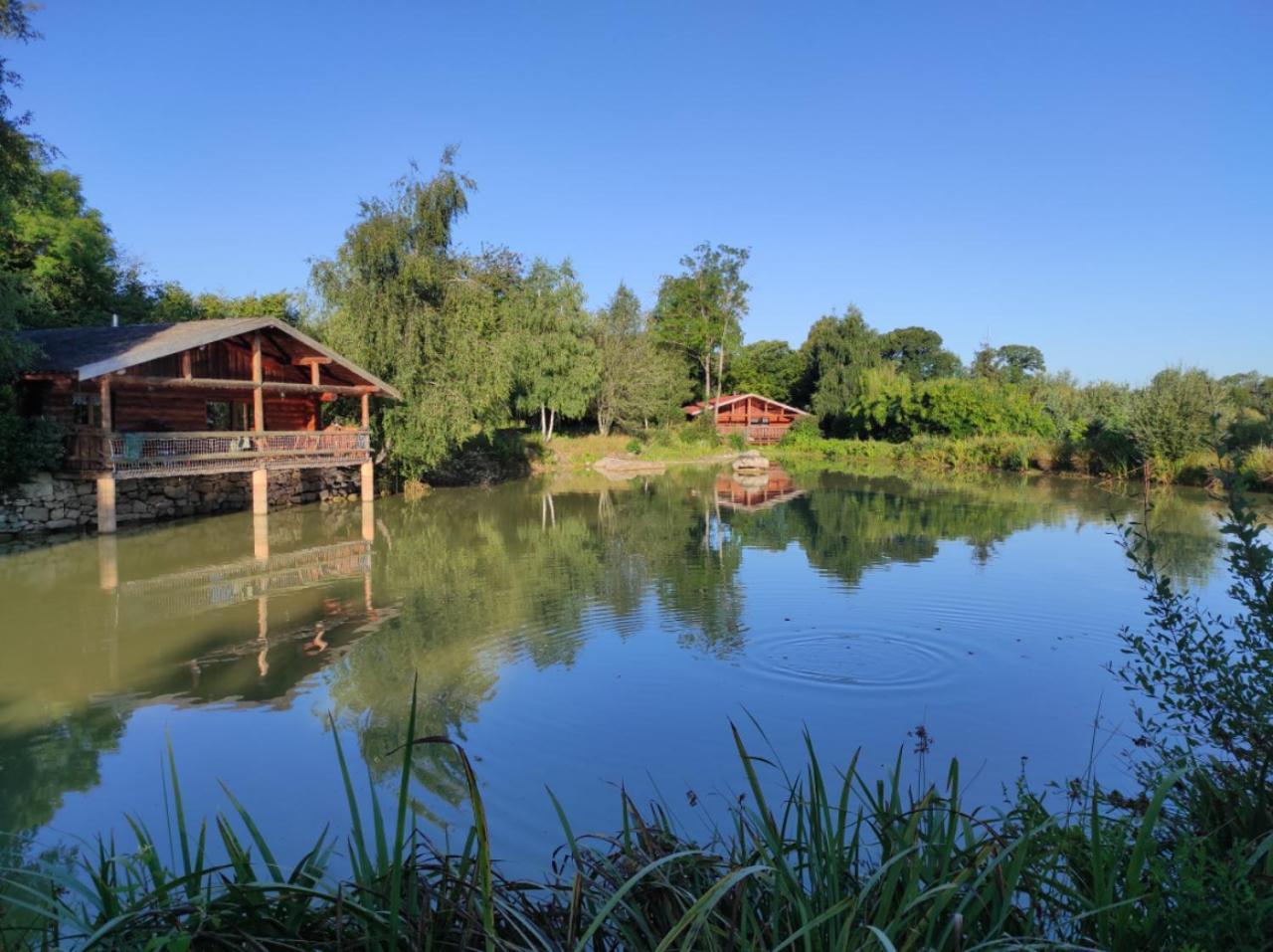 Le Domaine De La Vergnolle Roches  Esterno foto