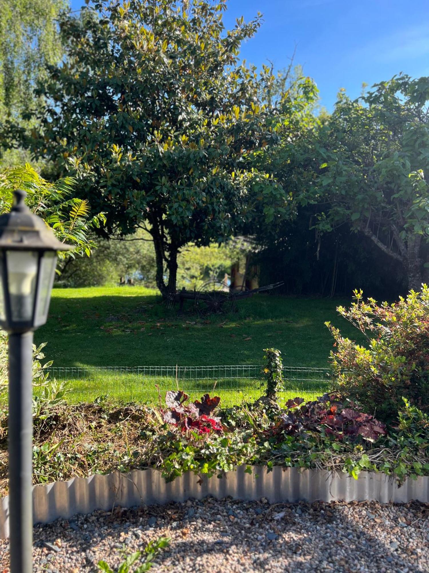 Le Domaine De La Vergnolle Roches  Esterno foto